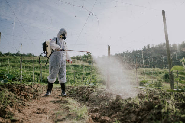 Best Pest Control Cost  in Merryville, LA