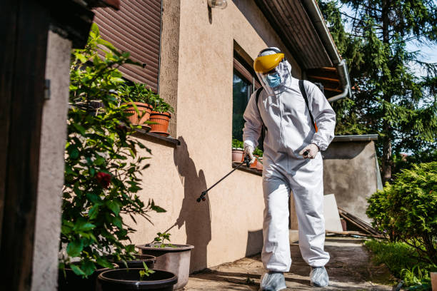 Best Residential Pest Control  in Merryville, LA