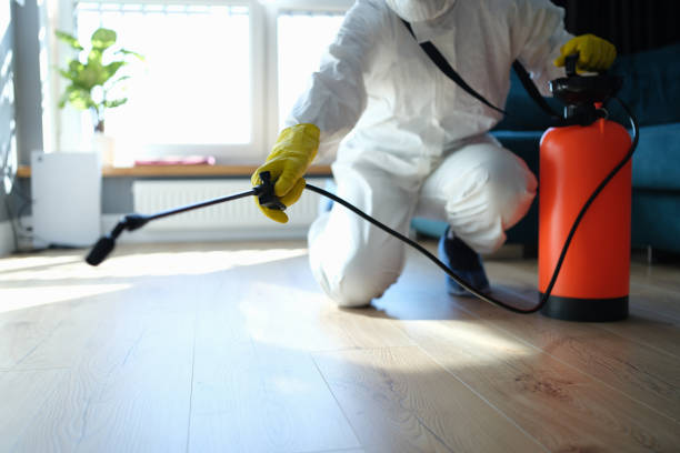 Best Pest Prevention Services  in Merryville, LA