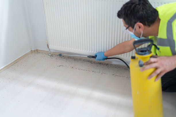 Pest Control for Restaurants in Merryville, LA